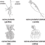 image1.png