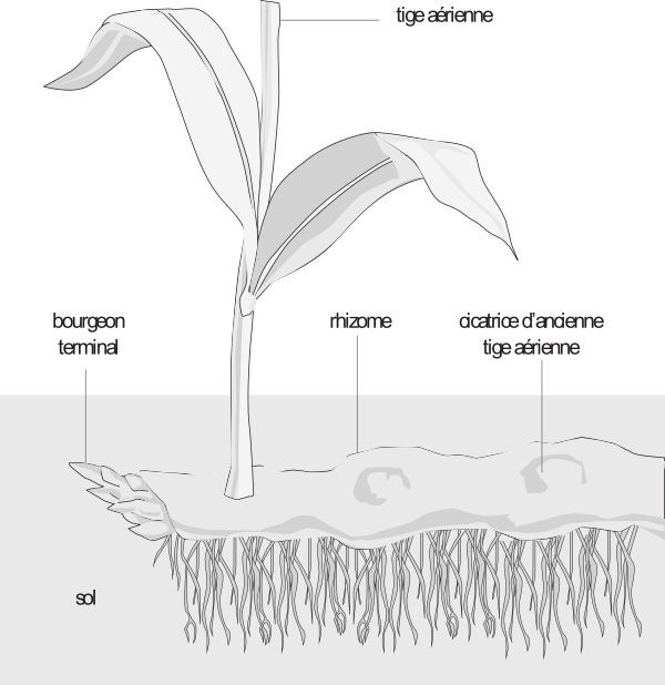 image14.png