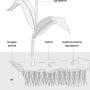 image14.png