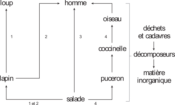 image8.png