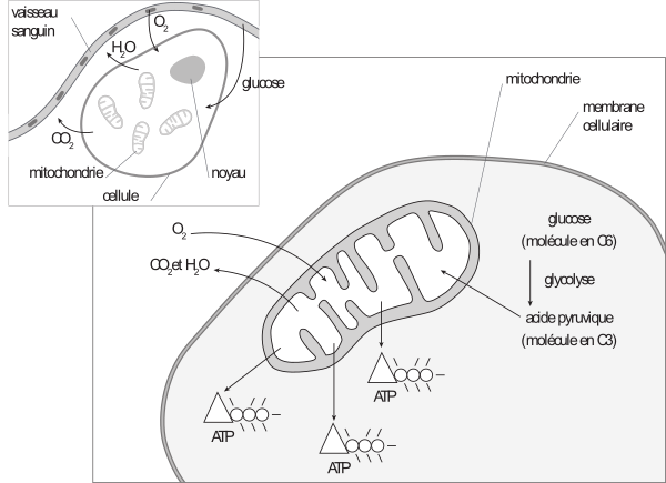 image9.png