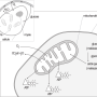 image9.png