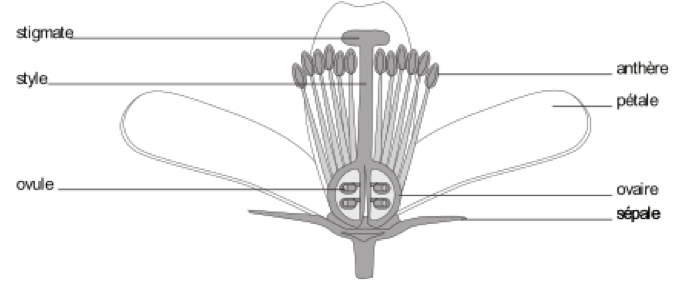 image1.png