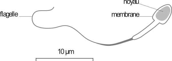 image11.png