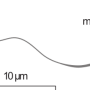 image11.png