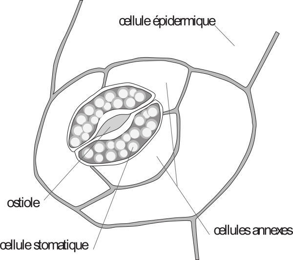 image13.png