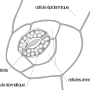 image13.png
