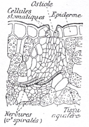 image14.png