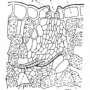 image14.png