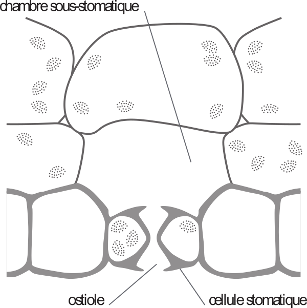 image15.png