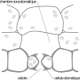image15.png
