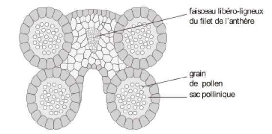 image2.png