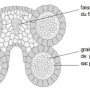 image2.png