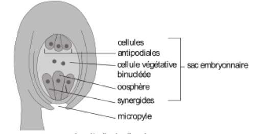 image3.png