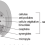image3.png