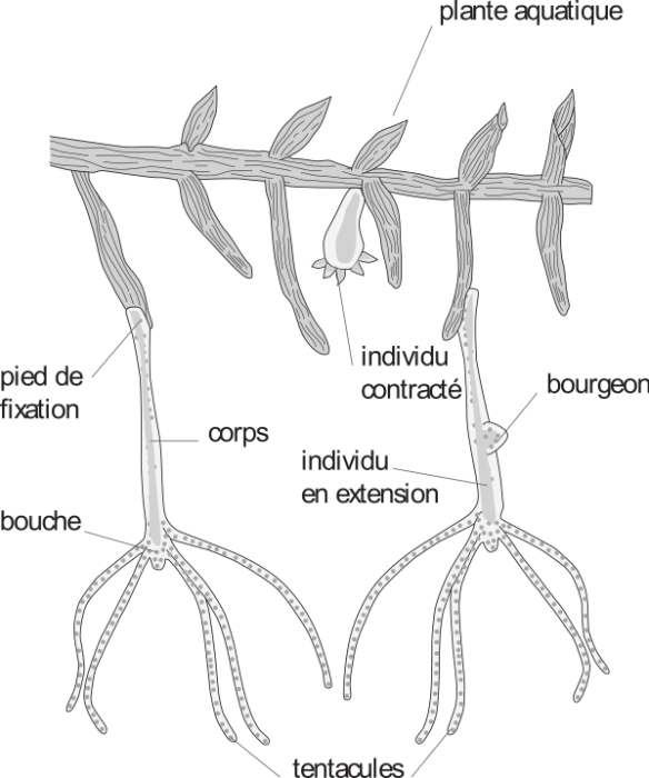 image5.png