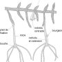 image5.png