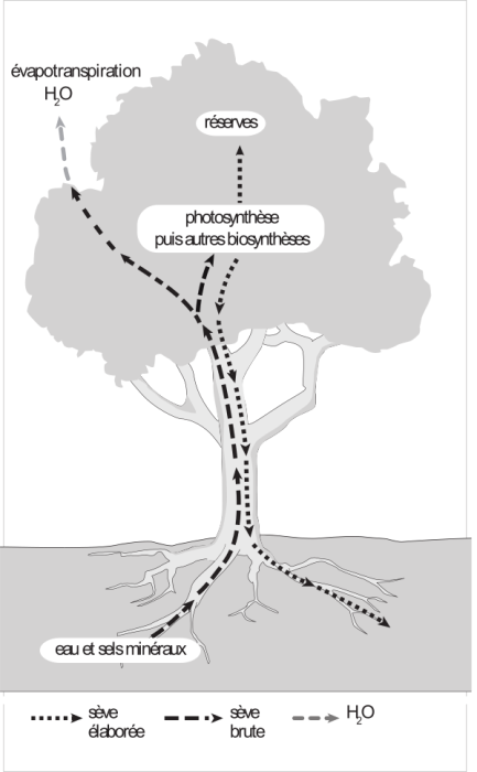 image9.png