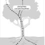 image9.png