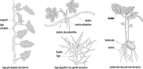 image2.png