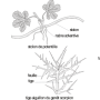 image2.png