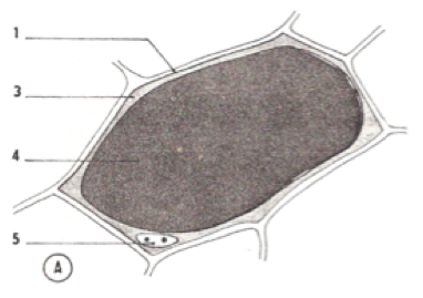 image5.png