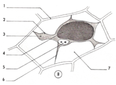 image6.png