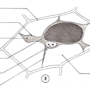 image6.png