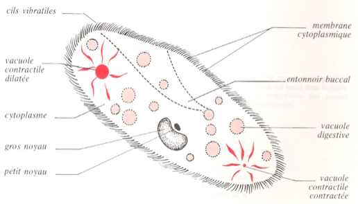 image2.png