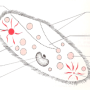 image2.png