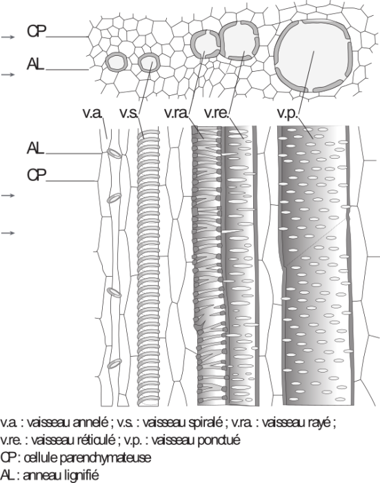 image3.png