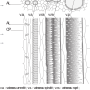 image3.png