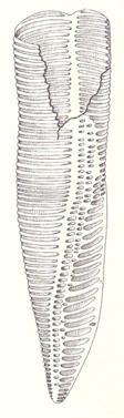 image4.png