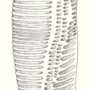 image4.png